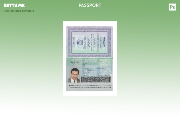 модерен стил Пакистански нов пасош сегашен шаблон